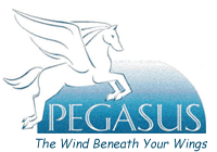 [ The Wind Beneath Your Wings · PEGASUS(again) LLC ]